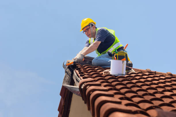 Best Roof Coating and Sealing  in Snyder, OK